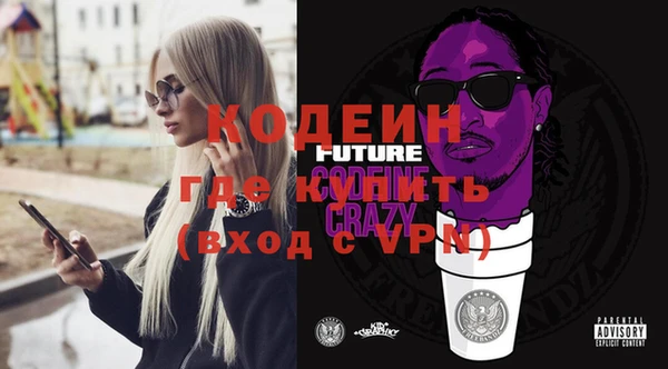шишки Гусиноозёрск