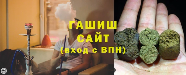 твердый Гусев