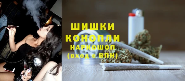 твердый Гусев