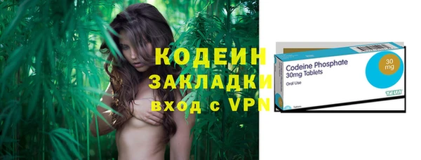 шишки Гусиноозёрск