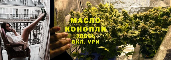 твердый Гусев