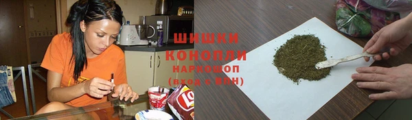 spice Сосновый Бор