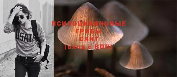 шишки Гусиноозёрск