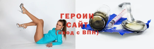шишки Гусиноозёрск