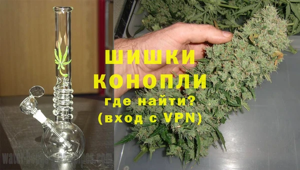 шишки Гусиноозёрск