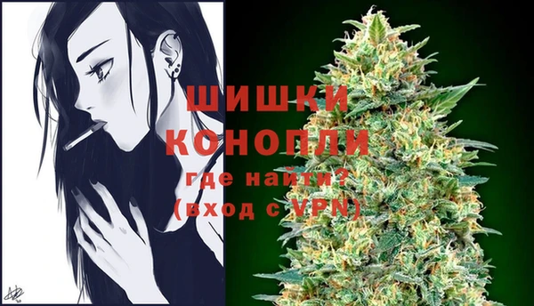 твердый Гусев