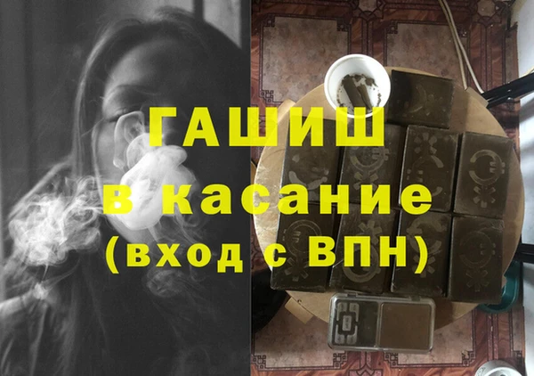 шишки Гусиноозёрск