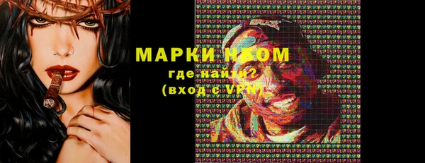 твердый Гусев