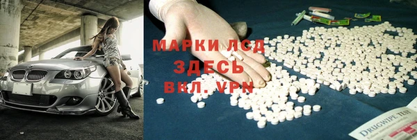 шишки Гусиноозёрск