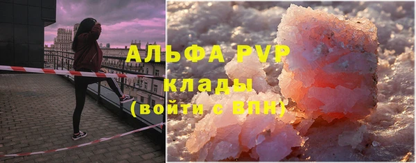 твердый Гусев