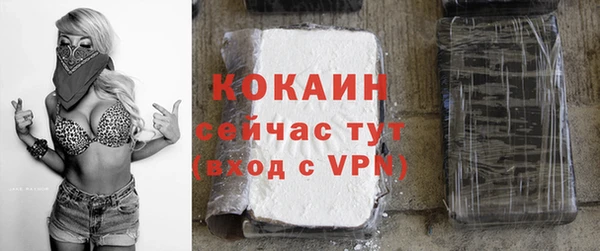 шишки Гусиноозёрск