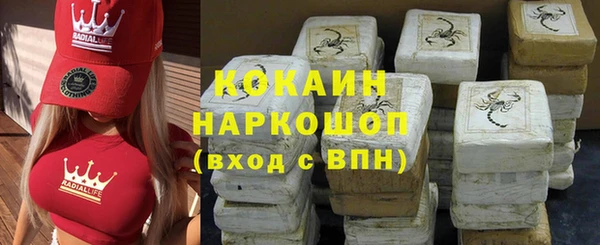 твердый Гусев