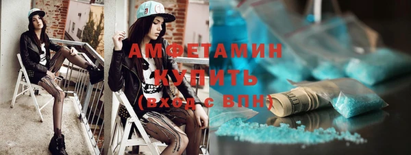 шишки Гусиноозёрск