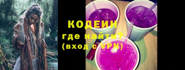 твердый Гусев
