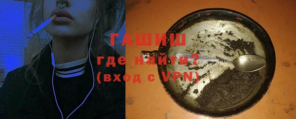 твердый Гусев