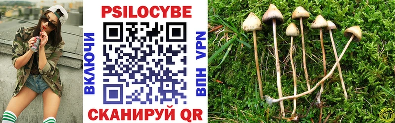 Псилоцибиновые грибы Psilocybe Симферополь